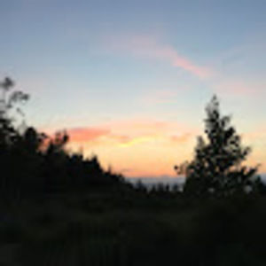 Meet your Posher, Iris